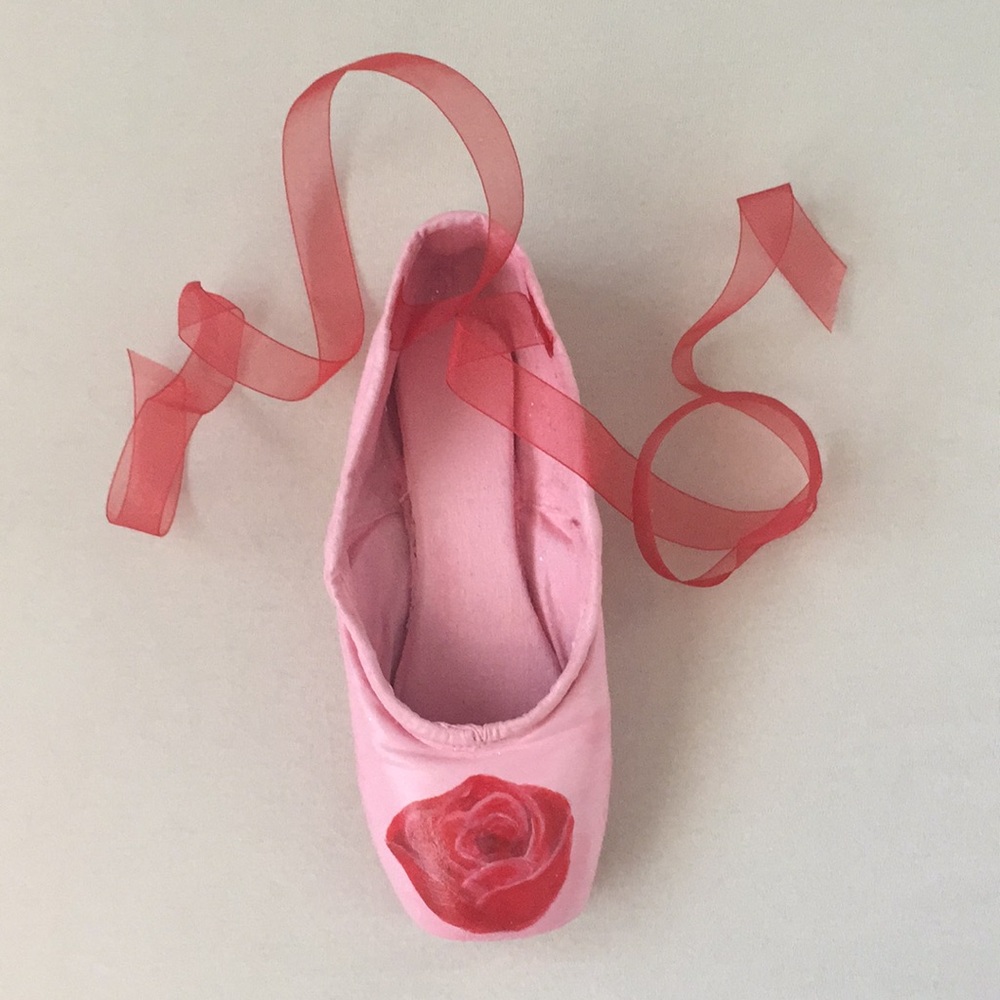Painted pointe shoe